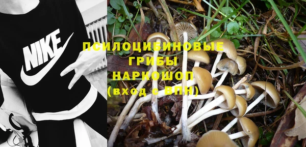 мет Аркадак