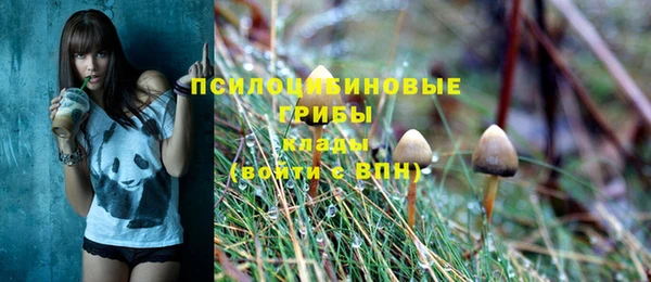 хмурый Армянск
