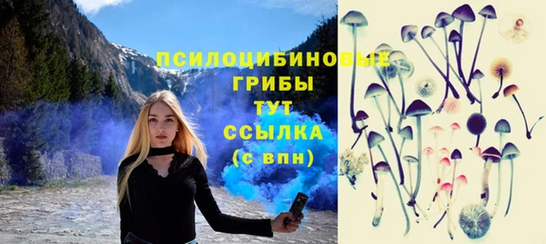 мет Арсеньев