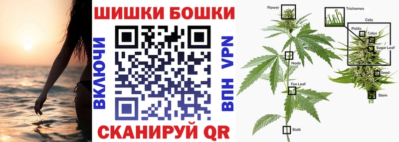 Канабис индика  Купить где  Чистополь 